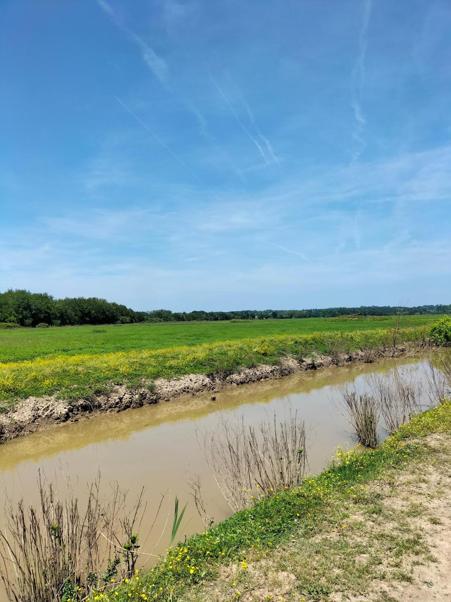 Studio Proche Des Thermes, Des Barthes, Des Plages Et De Dax ! Saubusse Exterior foto